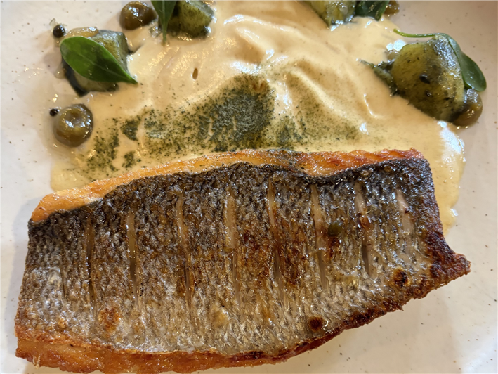 sea bass